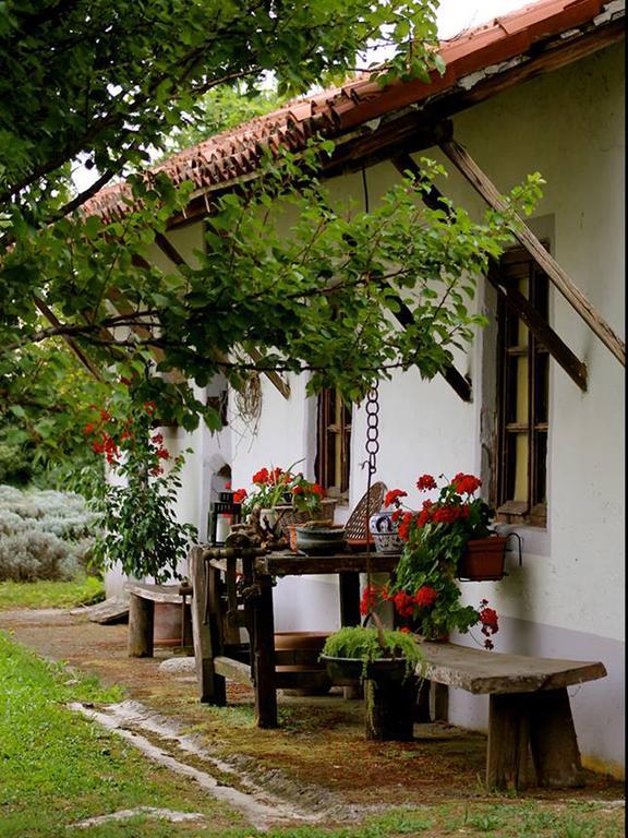 Agriturismo Viridarium Castellucchio Exterior foto